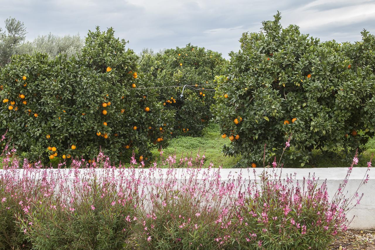 Le Stanze Di Meli Bed & Breakfast Palagianello Exterior photo